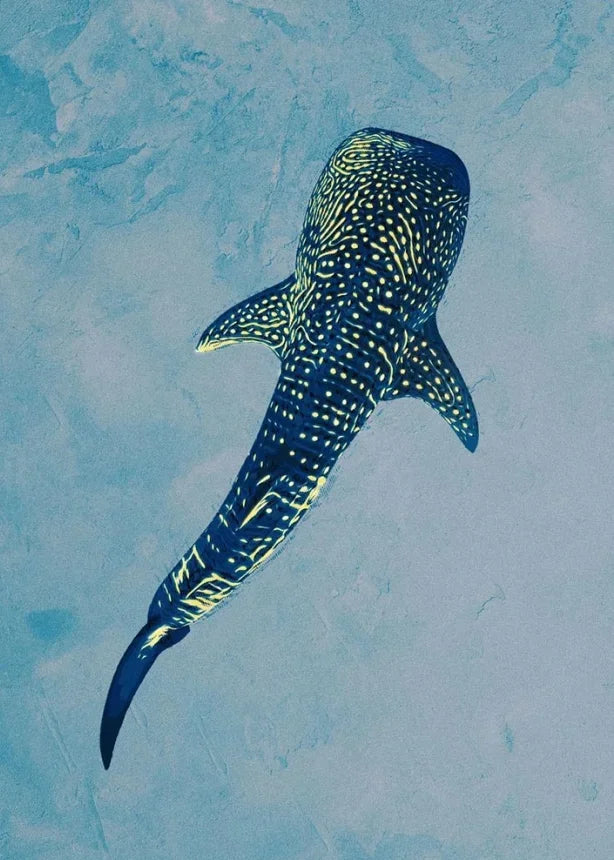 Tableau requin baleine