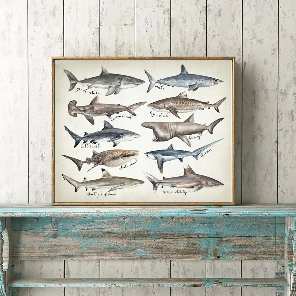 Tableau requins du monde
