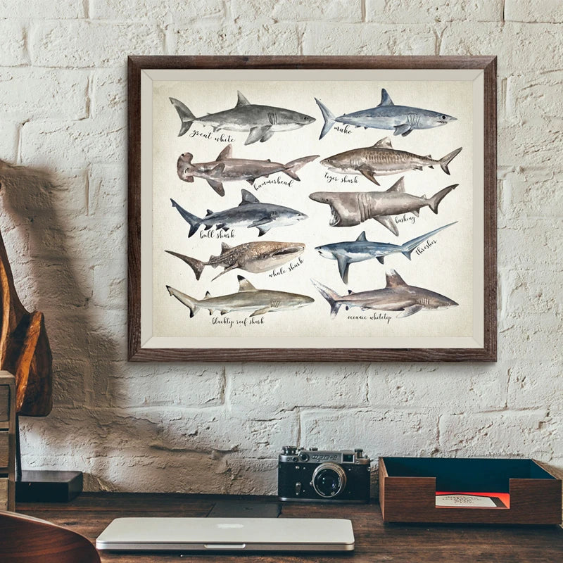 Tableau requins du monde