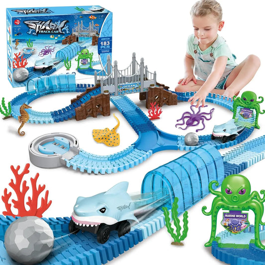 Jeu requin circuit