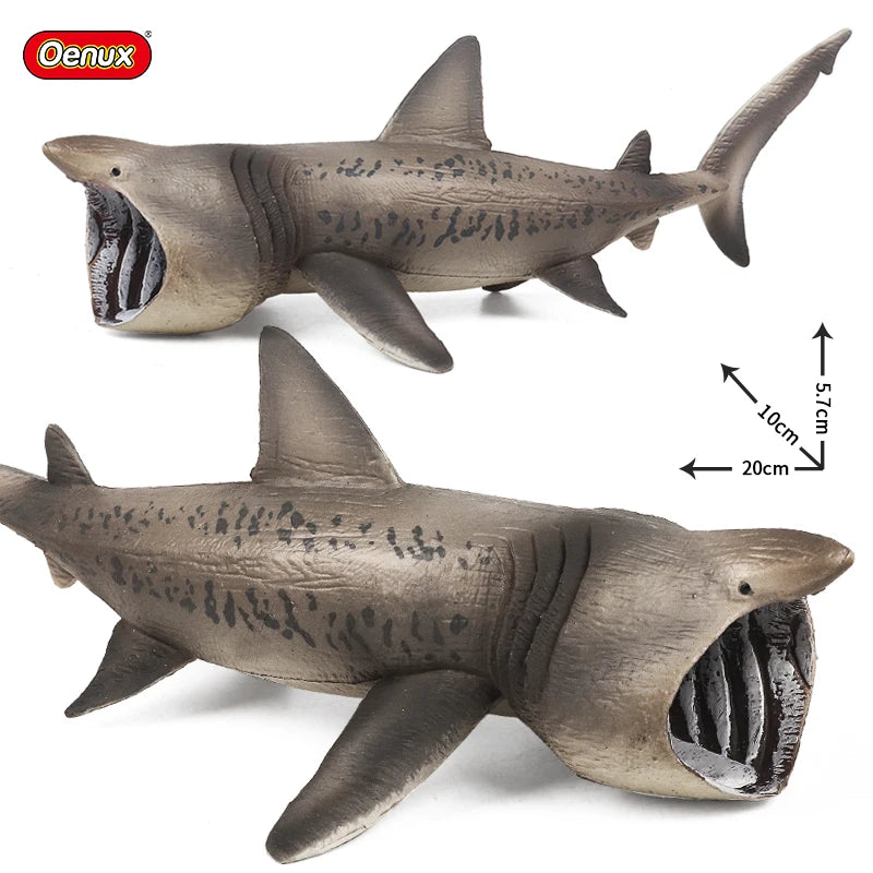 Coffret figurines requin