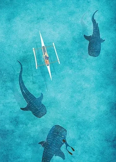 Tableau requin baleine