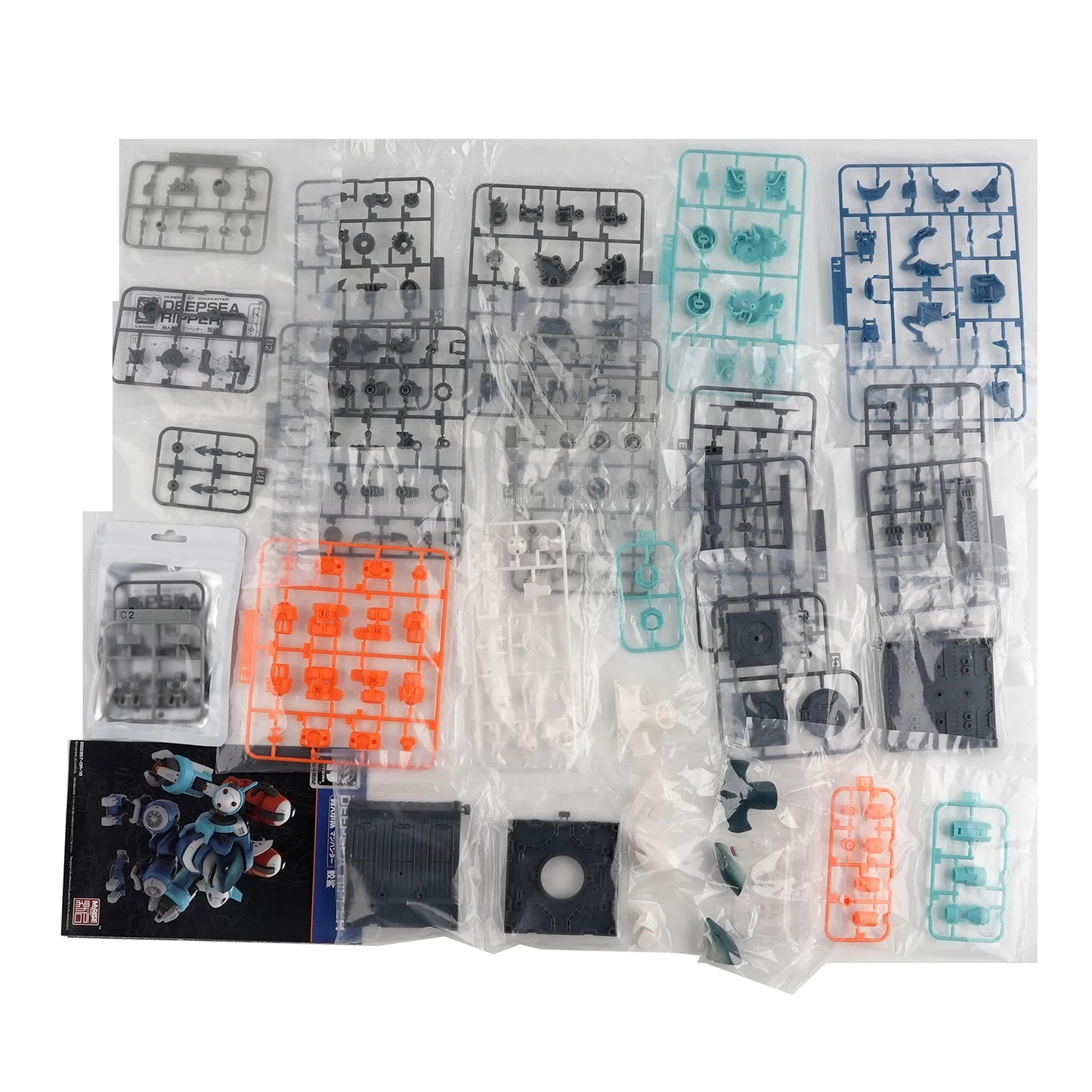 Requin Chasseur de Tête