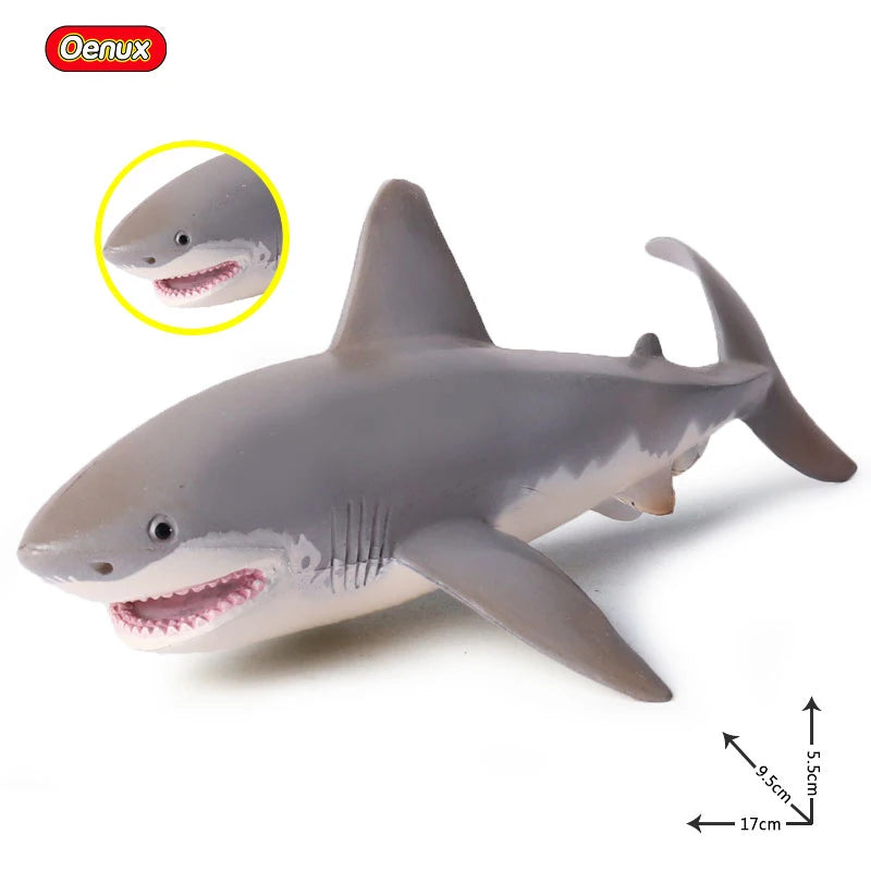 Coffret figurines requin