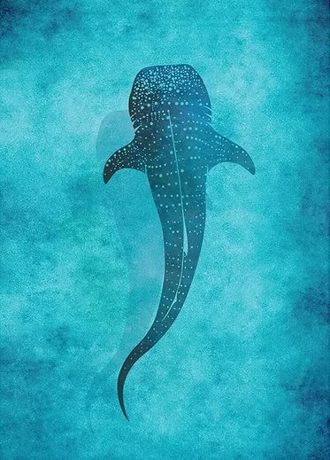 Tableau requin baleine