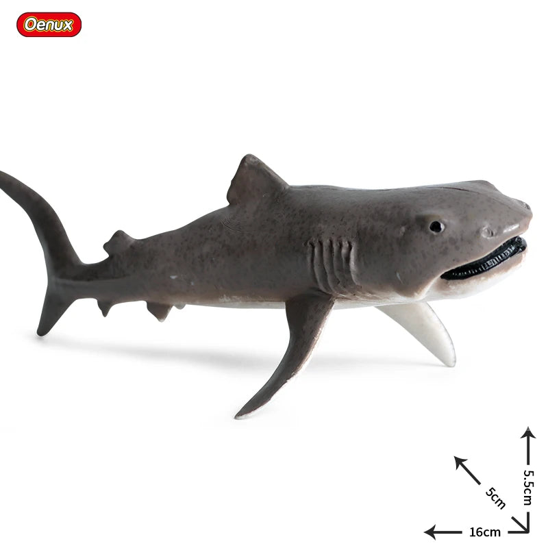 Coffret figurines requin