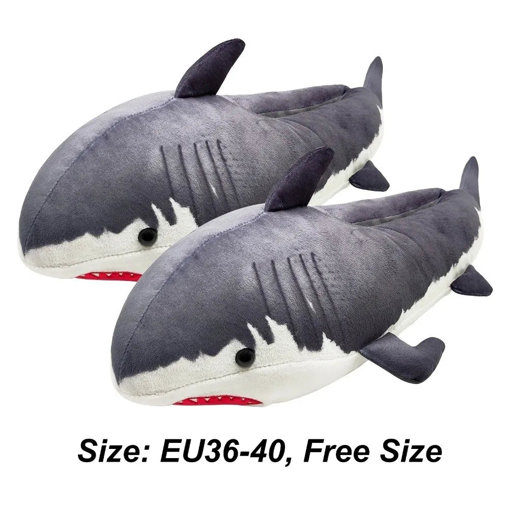 Chausson requin fun