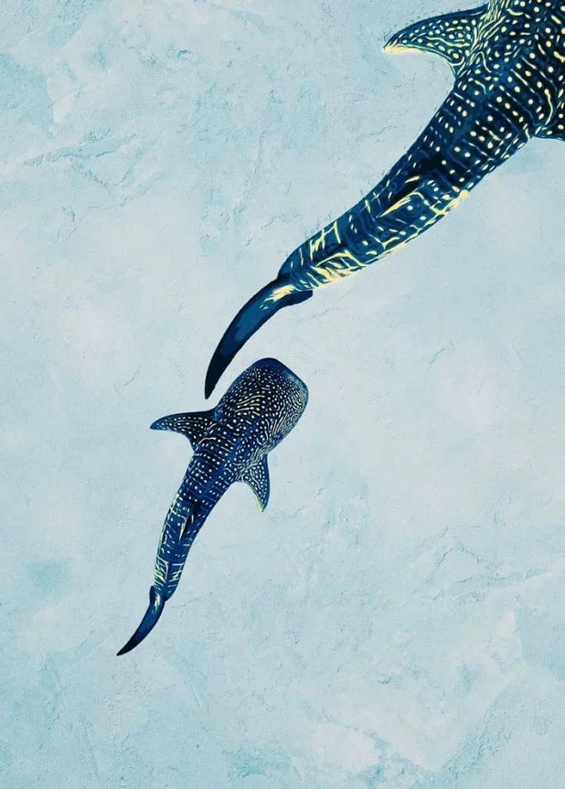 Tableau requin baleine