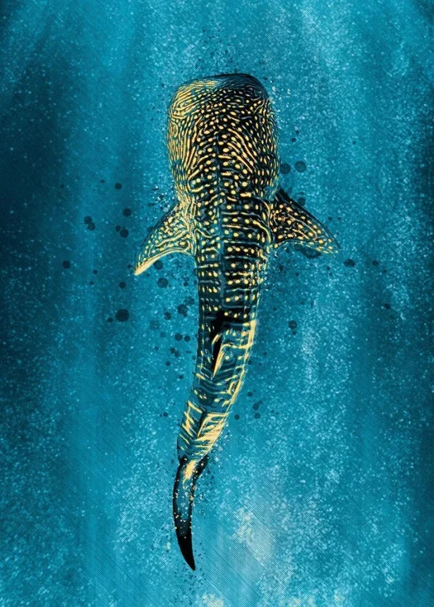 Tableau requin baleine