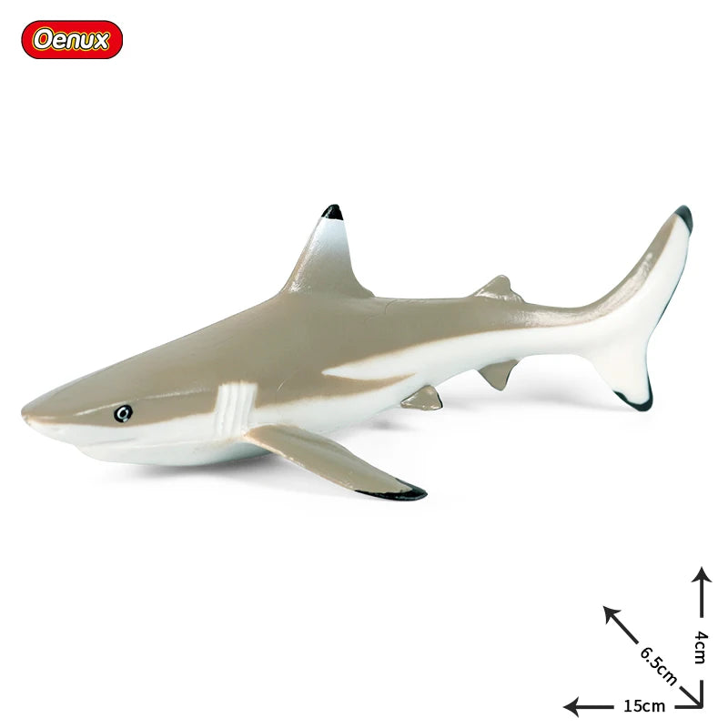 Coffret figurines requin