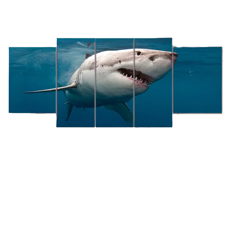 Tableau 5 pièces requin
