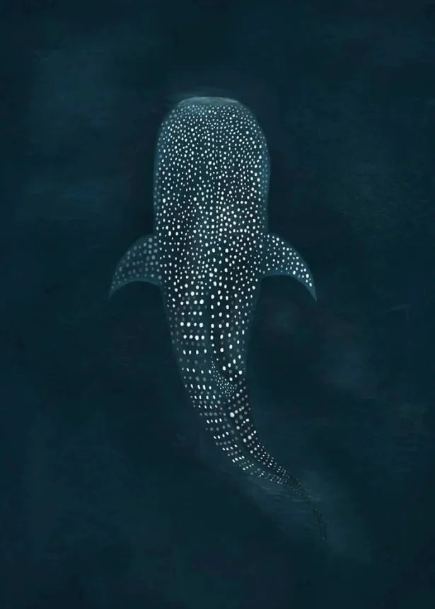 Tableau requin baleine