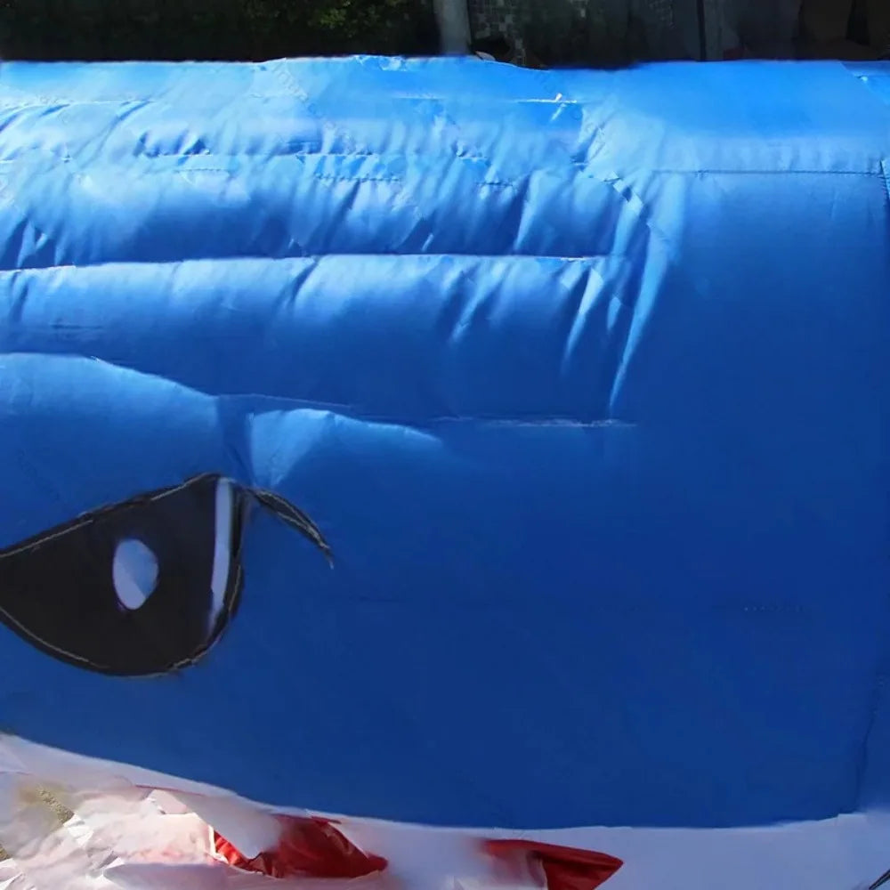 Requin gonflable bleu