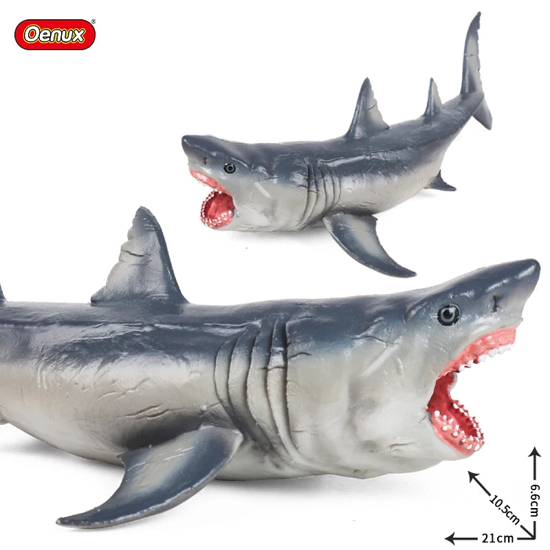 Coffret figurines requin