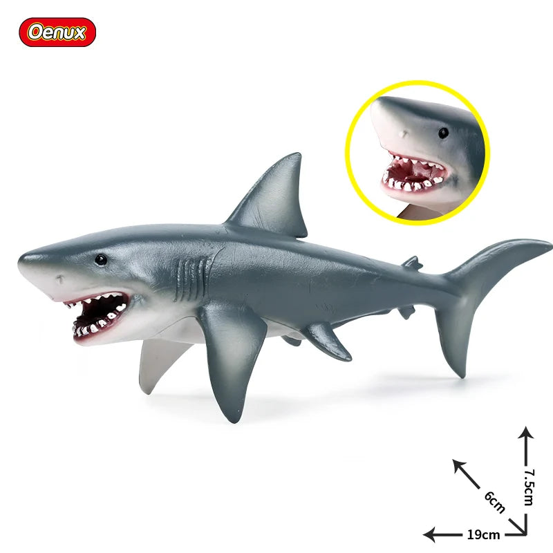 Coffret figurines requin