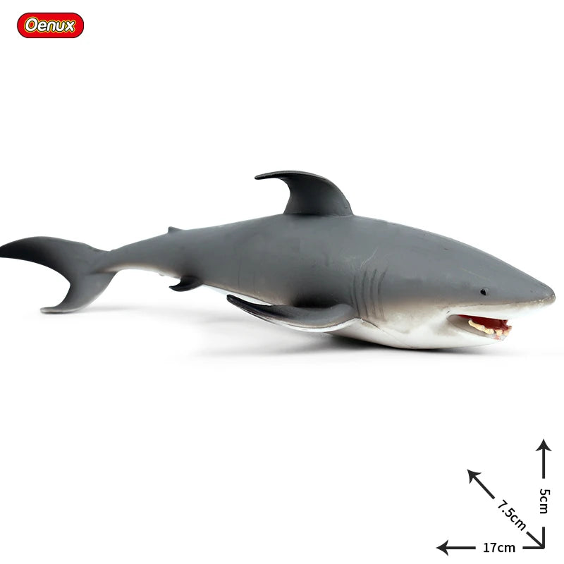 Coffret figurines requin