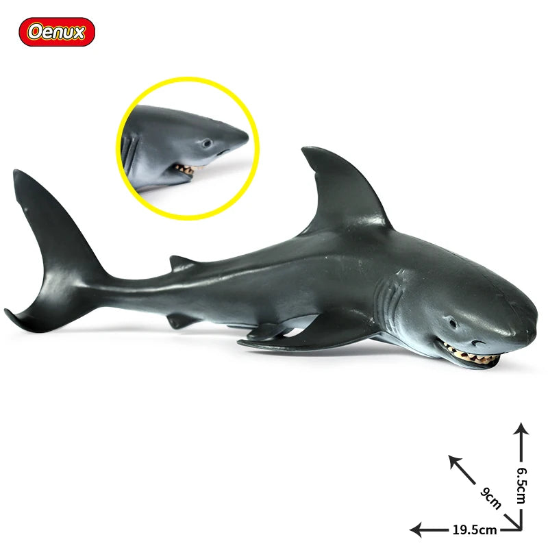 Coffret figurines requin