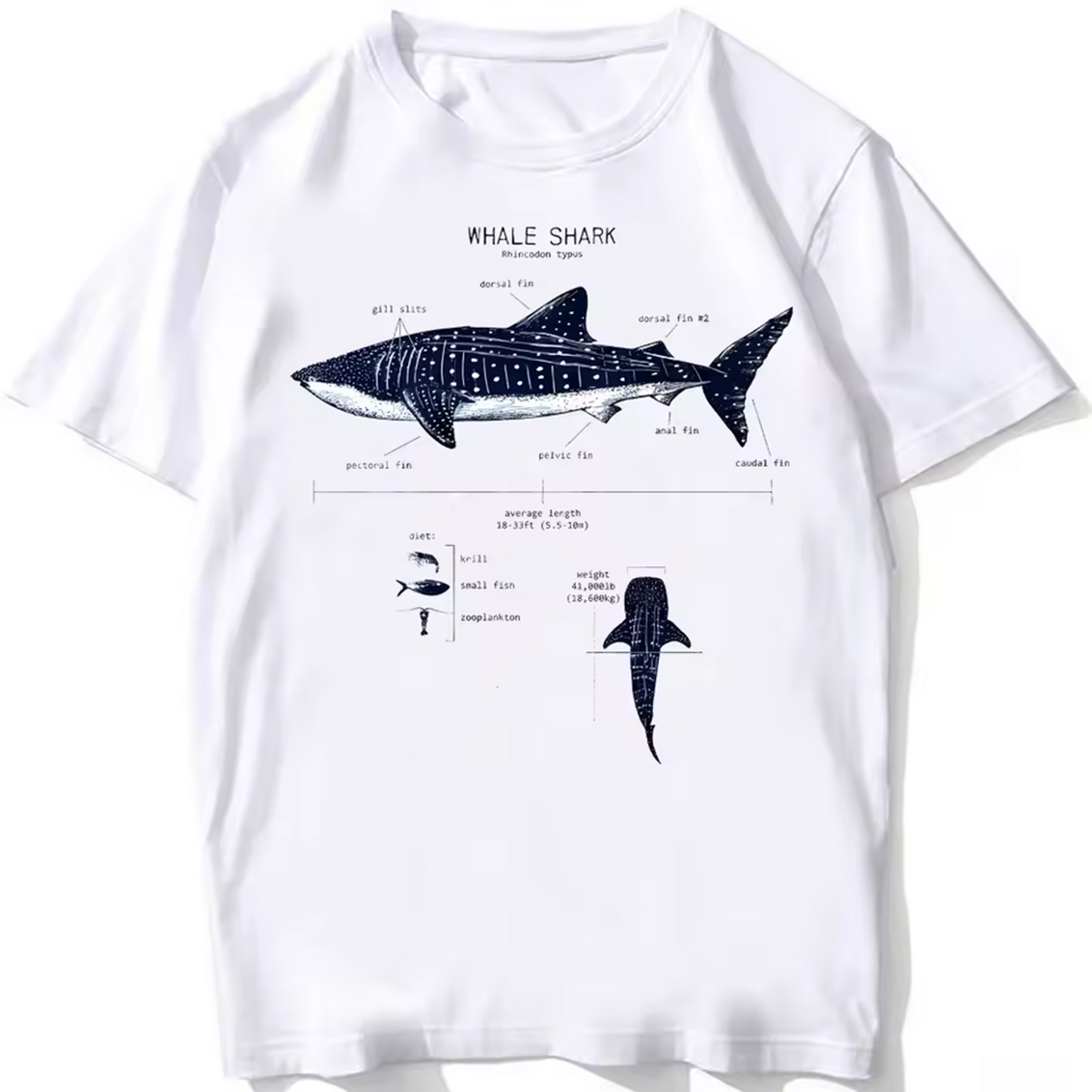 t shirt requin baleine