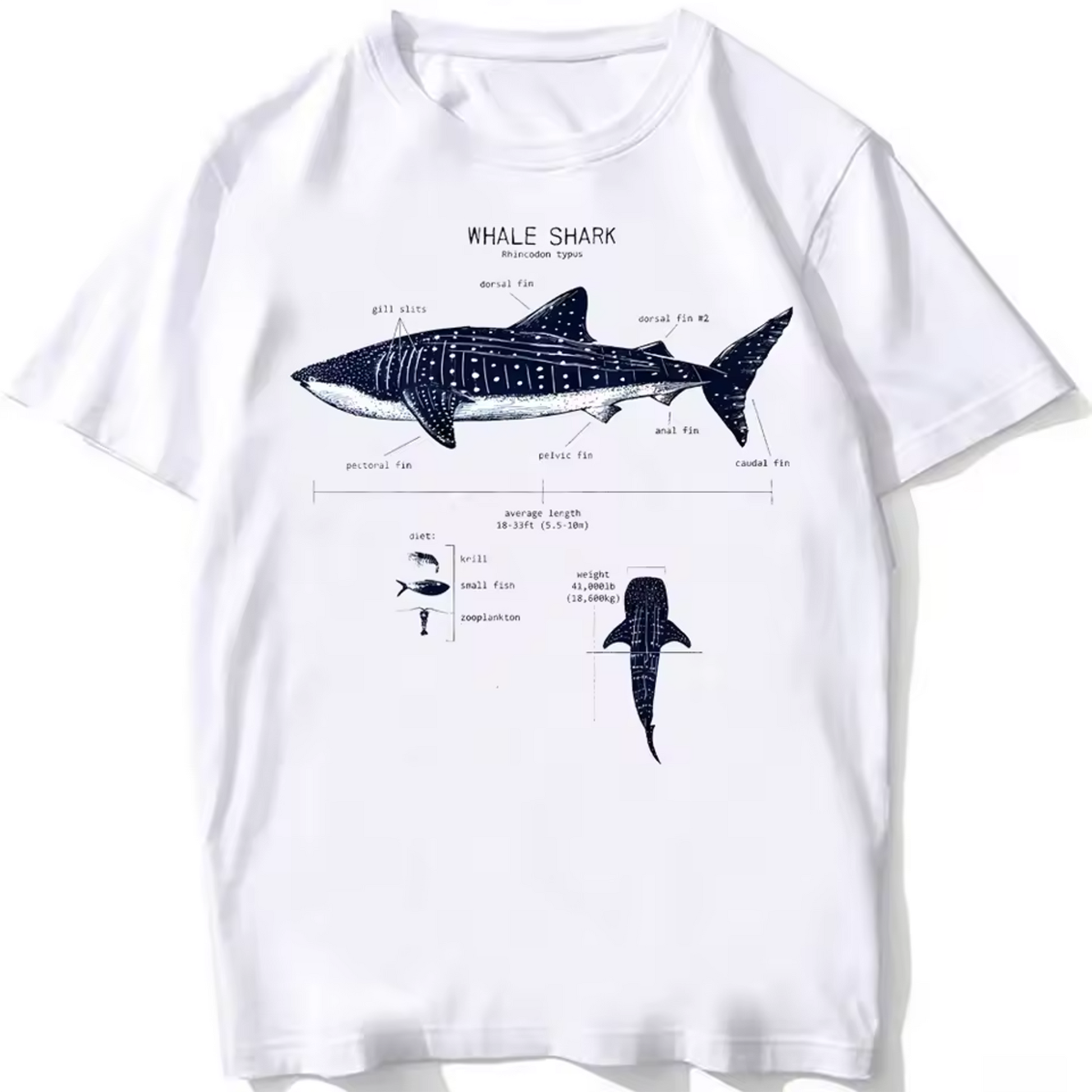 t shirt requin baleine