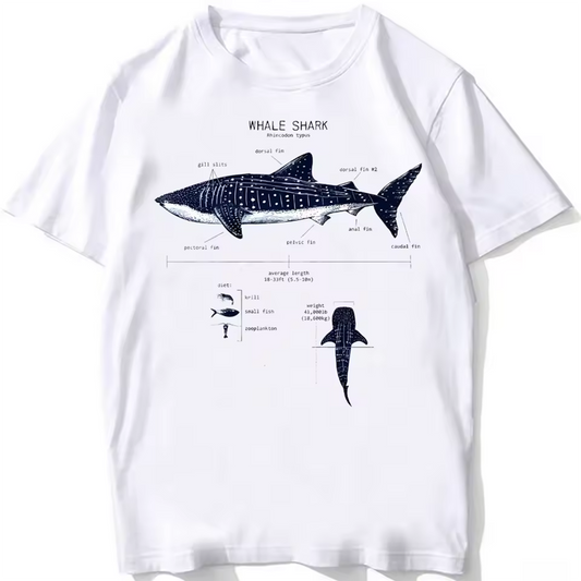 t shirt requin baleine